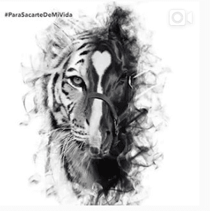 Luego de esta presentación, también se lanzó el tema 'Para sacarte de mi vida' en las plataformas digitales.