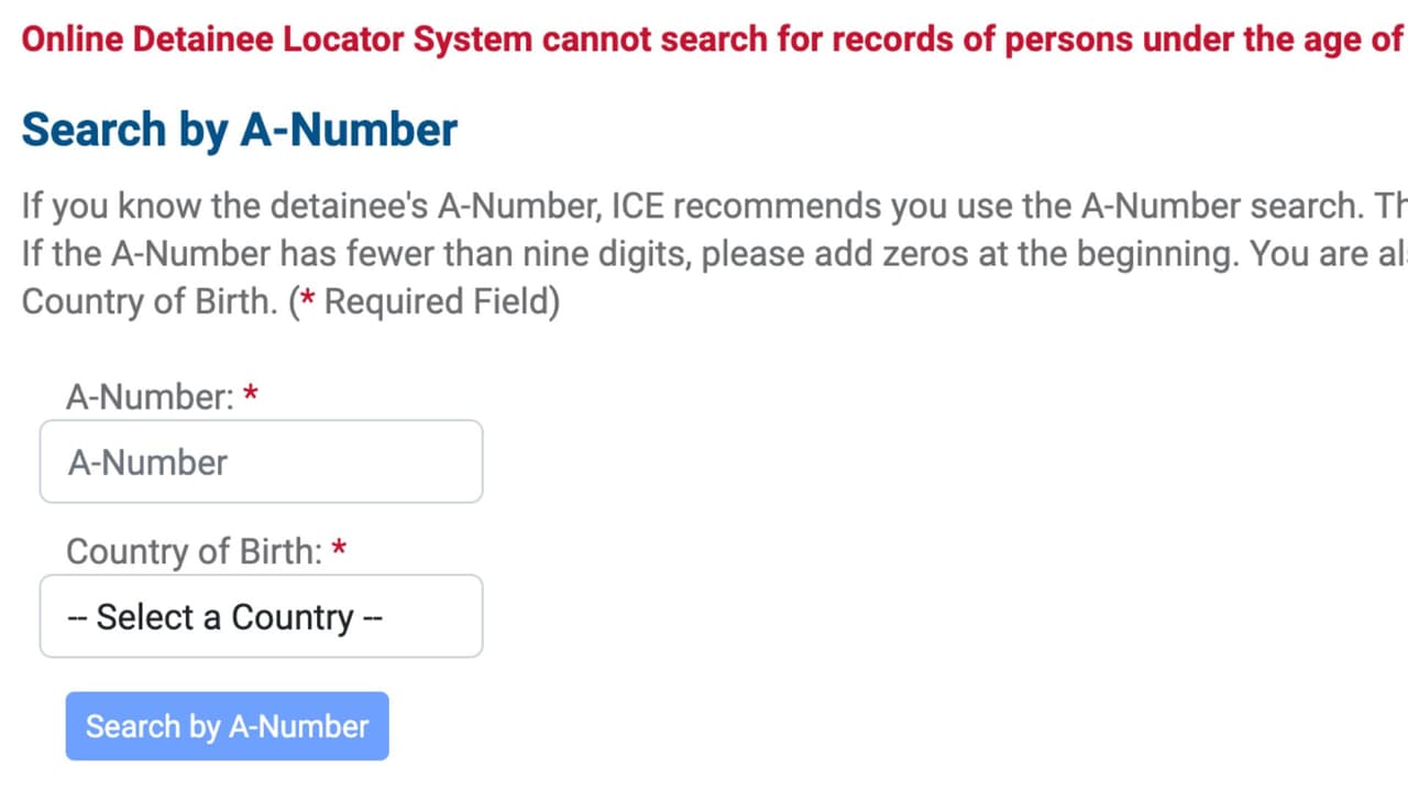 La primera opción de búsqueda es con el
<i>Alien Number</i> o
<i>A-Number. </i>Con esto se refieren al número de extranjero.
<b>Si ya tienes el número a la mano, lo puedes escribir y después escoger el país en el que nació esa persona.</b>
<br>
<br>Si no tienes un A-Number, revisa en los documentos migratorios de la persona detenida si ahí viene. Por ejemplo, hay solicitudes para aparecer en una corte migratoria, o en un formulario llamado I-797, de USCIS, que es una petición al servicio de inmigración de un caso migratorio.
<br>
<br>Este número tiene 9 dígitos. Si acaso tuviera menos, el sistema te pide que pongas ceros (000) al inicio.