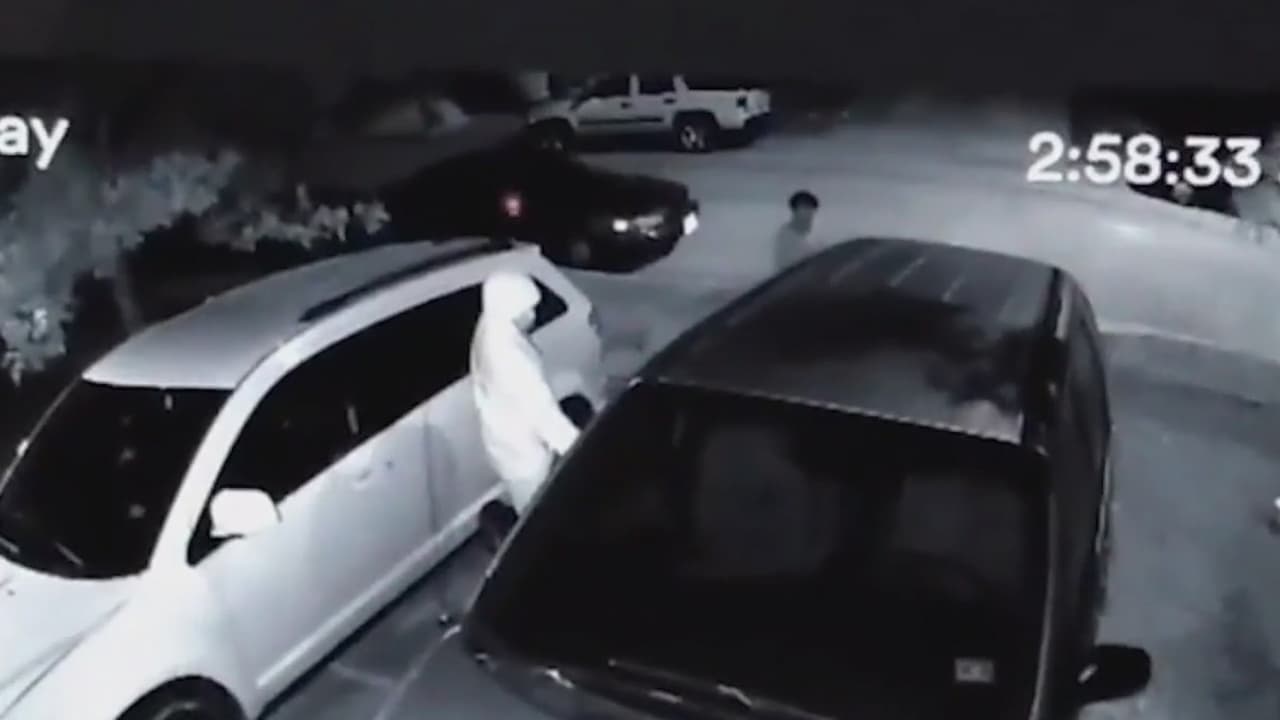 Recuperan 11 vehículos y arrestan a 2 de una banda de ladrones de autos en Mustang Ridge