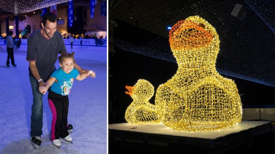 <h3 class="cms-H3-H3"><b>Navy Pier</b></h3>
<br>Este año, la pista de hielo de Navy Pier ofrece una experiencia llena de luces y colores. La experiencia de patinar sobre hielo en interior se complementa con más de 600,000 luces en adornos y figuras de temporada. Si deseas asistir, te invitamos a consultar
<a href="https://www.univision.com/local/chicago-wgbo/actividades-invierno-chicago-10-pistas-patinar-hielo-fotos" target="_blank">nuestra guía con 10 pistas de hielo</a> para patinar en Chicago.
<br>
<br>