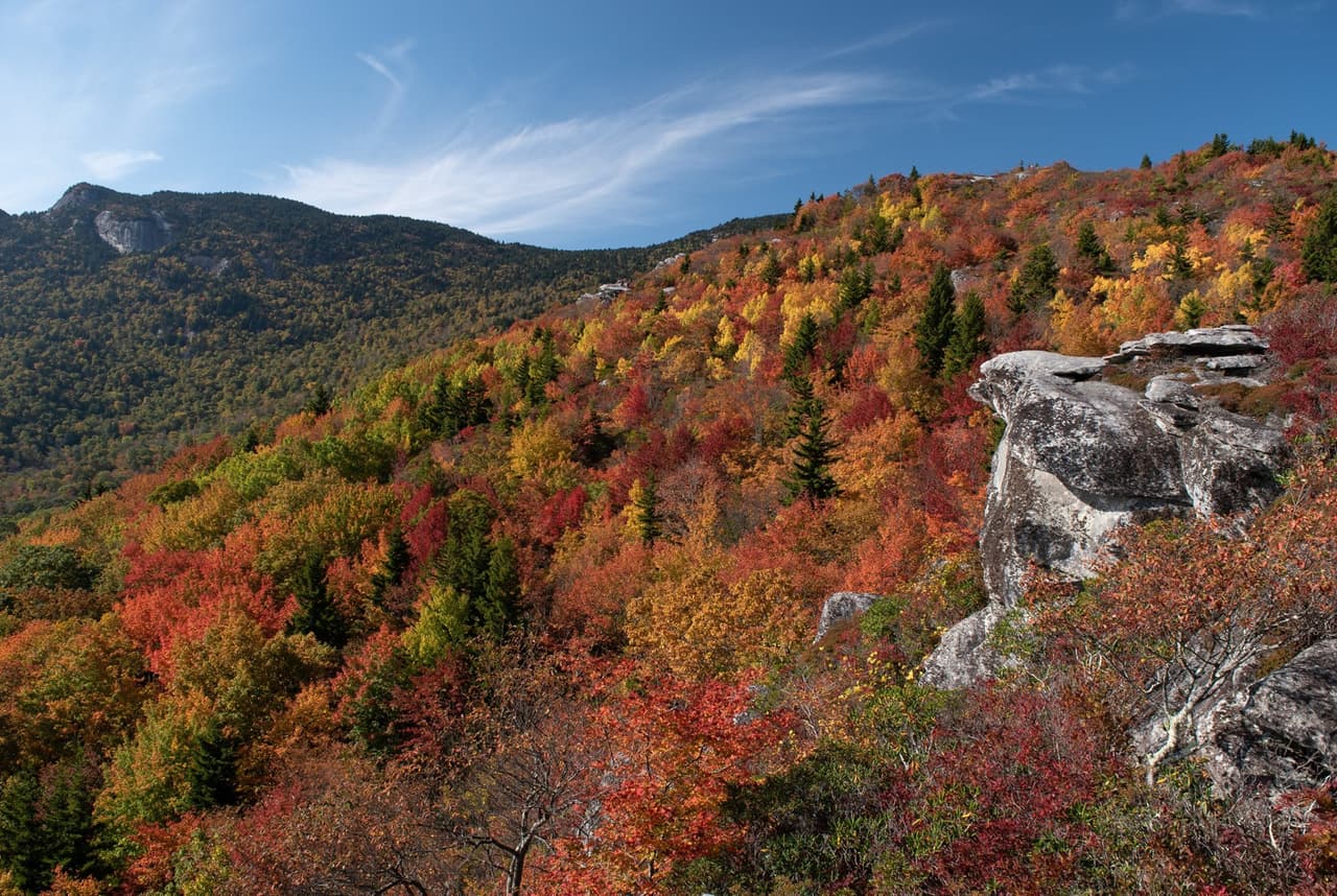 <b>Asheville</b>: Este es sin duda el destino de otoño más visitado por muchos. Si nunca ha estado en Asheville en otoño, tiene que ir. La avenida blue ridge que la rodea es extraordinaria, el centro de la ciudad es impresionante y Biltmore realmente florece en esta época del año.