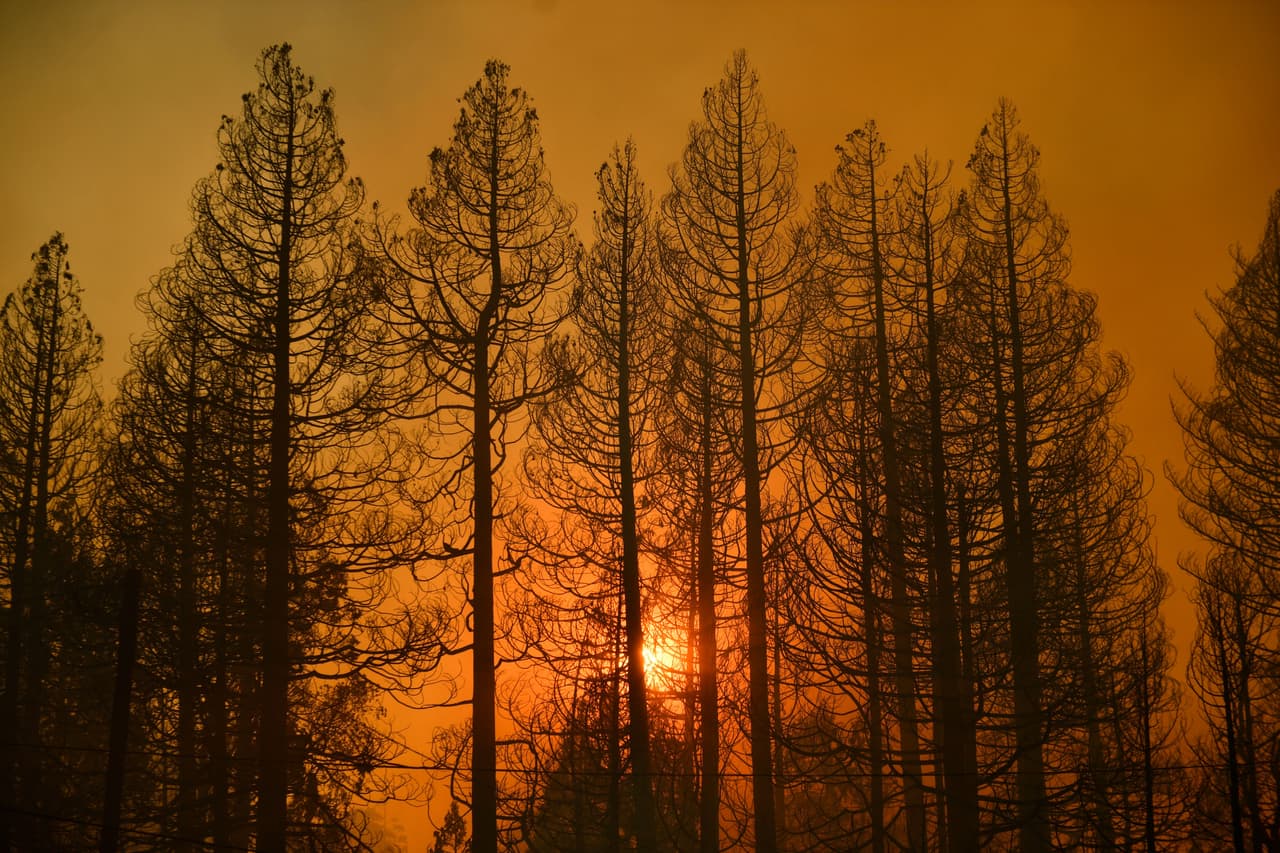 Debido a las condiciones del tiempo, la baja humedad y la sequía que vive el estado, 
<b>“cualquier nuevo incendio tiene el potencial de provocar un crecimiento rápido</b> y de gran tamaño con un alto riesgo para la vida y la propiedad”, según el comunicado.