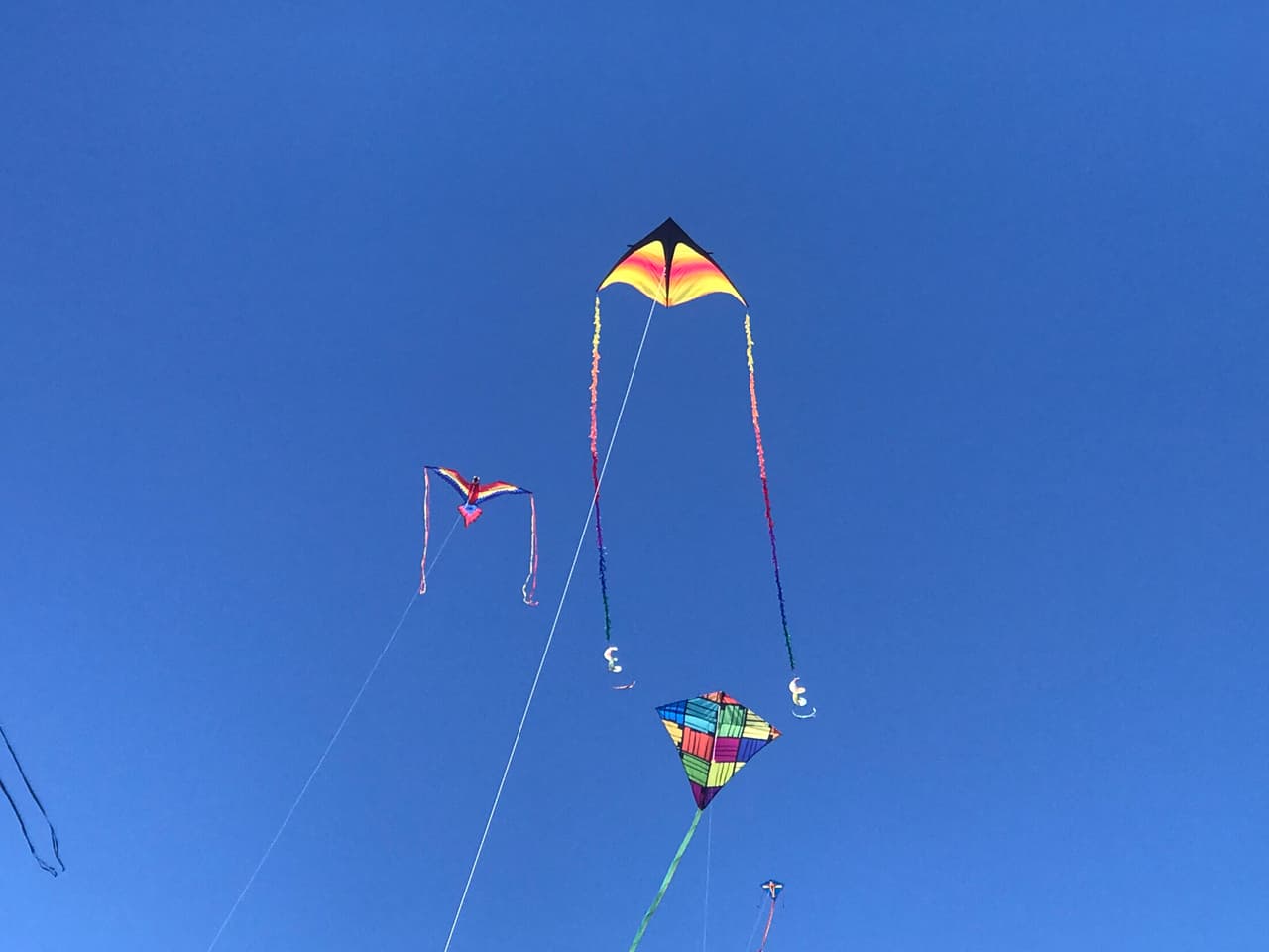 Un niño se electrocuta cuando volaba una cometa desde el tercer piso de su vivienda