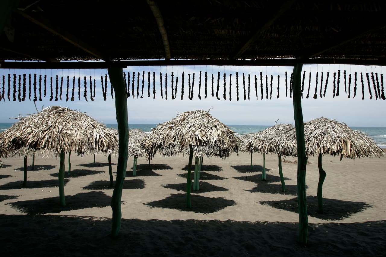 La playa José Martí, en el sureño estado de Veracruz, registró 198 NMP/100 ml. Es la playa más contanimada que no pertenece al estado de Guerrero.
<br>