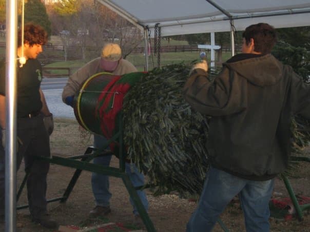 <b>Jordan Lake Christmas Tree Farm (A partir del 18 de noviembre)</b>
<br>
<b>Dirección</b>: 2170 Martha’s Chapel Road. Apex, NC
<br>
<b>Teléfono</b>: 919-362-6300
<br>
<b>Sitio web</b>: 
<a href="https://jordanlakechristmas.com/">https://jordanlakechristmas.com/</a> 
<br>
<b><a href="https://maps.app.goo.gl/eXq4wP44cr4a5eCa7">Cómo llegar</a></b>
<br>
<br>Granja de árboles de Navidad que cuenta con área de venta, te permite cortar tu árbol y tiene además actividades familiares.