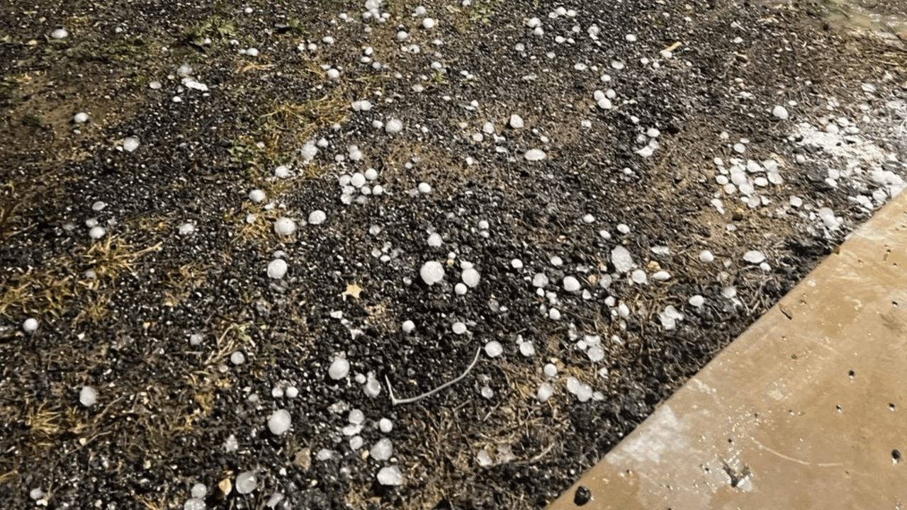 “A la 1:45 de la madrugada se escuchó lluvia muy fuerte y cual fue nuestra sorpresa que estaba cayendo granizo grande… dañó nuestros carros”, dijo la televidente a Univision San Antonio.
