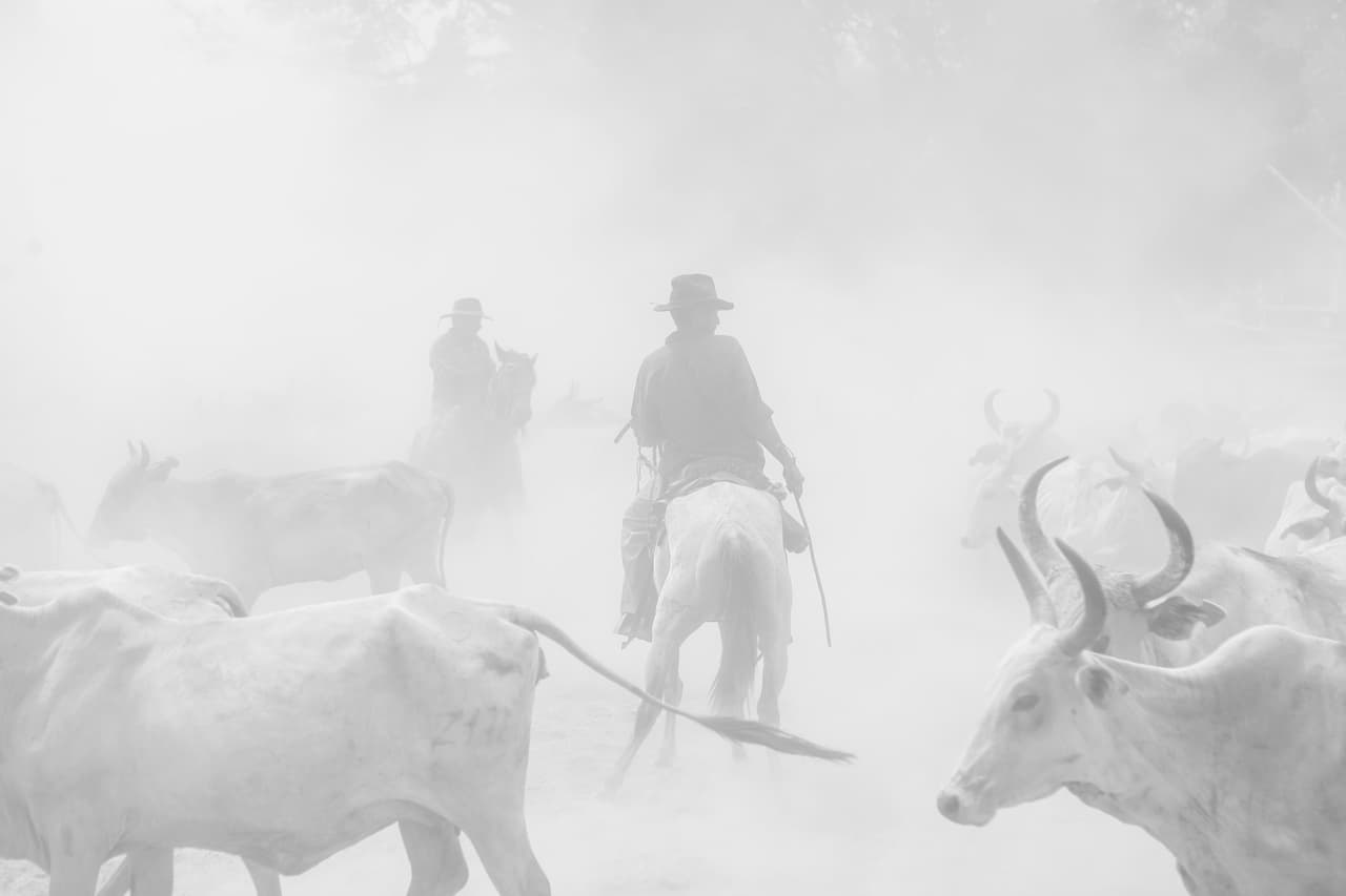 <b>Juanita Escobar- Colombia</b>
<br>Juanita Escobar, una fotógrafa autodidacta, siempre ha estado interesada por las relaciones entre los seres humanos y los ambientes que los circundan.