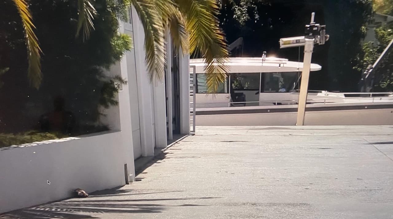 Las mujeres y menores de edad, alegaron que a través de mensajes que recibían por las redes sociales, los dueños de Yatea PR y Pauwii, las hostigaban a cambio de fotos, favores y lujos en su yate.