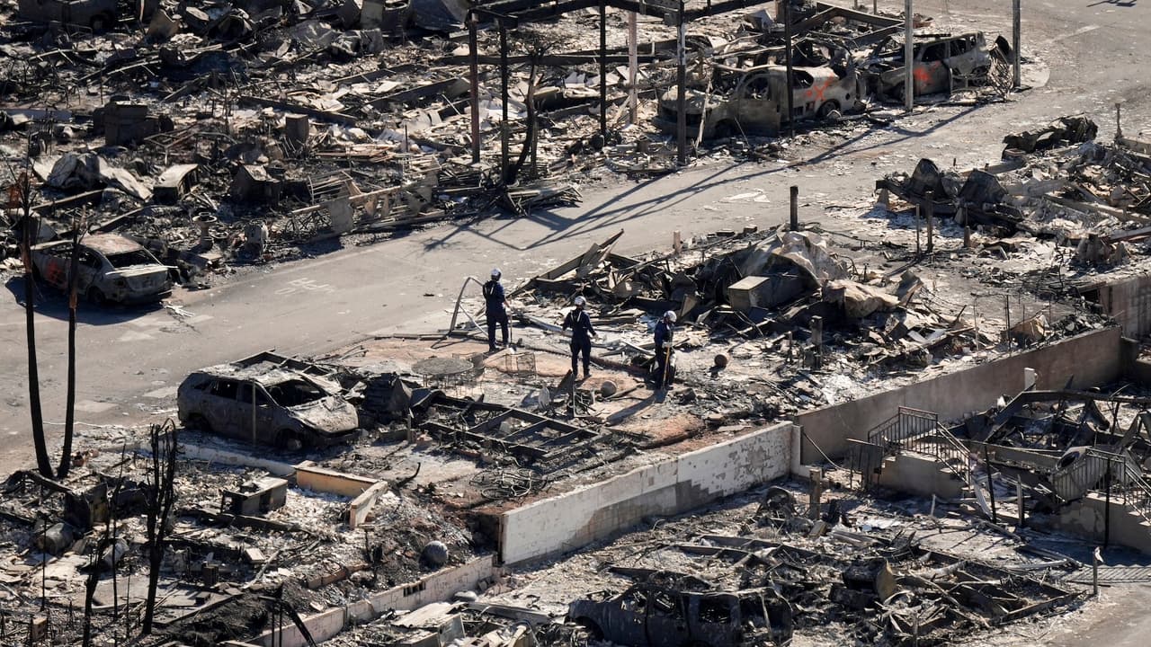 Incendios en Palisades y Eaton: mapas preliminares revelan la magnitud de los daños