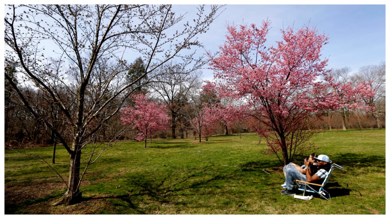 Puedes ver más información sobre él, 
<b>incluso con imágenes en vivo</b>, si copias esta dirección y la colocas en tu navegador: https://essexcountyparks.org/parks/branch-brook-park/