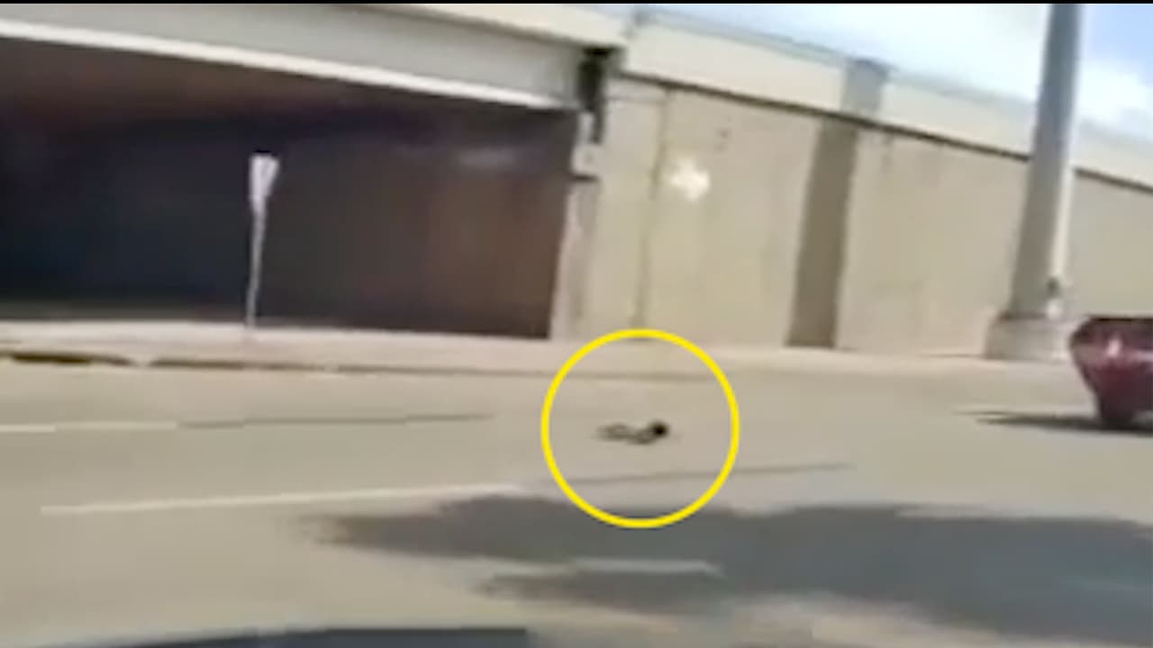 La bebé estaba asegurada en la silla para niños, pero continuamente ella se quitaba el cinturón, según le dijo Nelson a las autoridades.