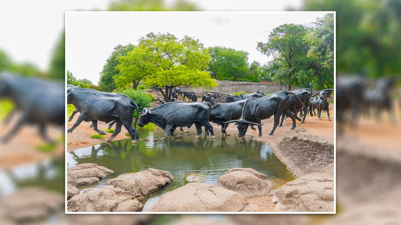 <b>Pioneer Plaza: </b>
<i>¡Arreeeeeeeeeee!</i> 
<b>El viejo oeste en el centro de la ciudad</b>. Unas 49 reses de bronces, acompañadas de tres vaqueros a caballo de gran tamaño, conmemoran las vías pecuarias tejanas. La plaza cuenta con un pequeño arroyo al aire libre, árboles y flores.
<br>💰 
<b>¡La entrada es gratis! </b>
<br>📆 Está abierto 
<b>las 24 horas del día</b>, los siete días de la semana. 
<br>📍 1428 Young St.