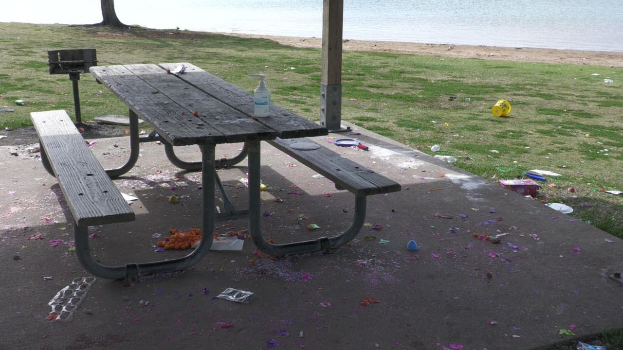 En temporada de visitar lagos y espacios verdes, puedes ir con bolsas de plástico para recoger tu basura y la que veas en estas áreas como una forma de preservarlas.