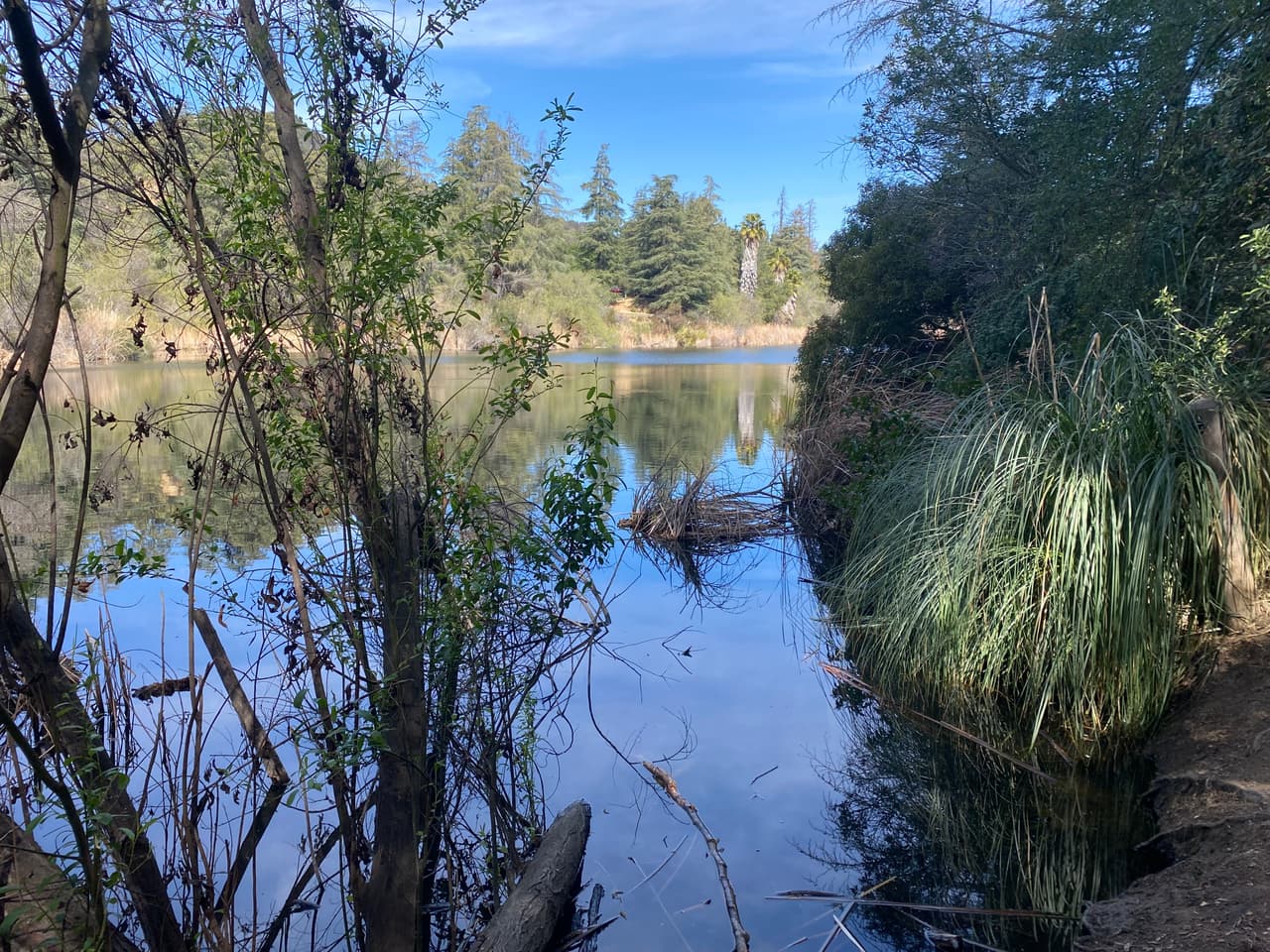 El lago y el estanque sirven como hogar permanente y estacional para las aves en la ruta migratoria del Pacífico. La vida silvestre en el lago incluye patos, tortugas, peces, mariposas y una gran variedad de pájaros.