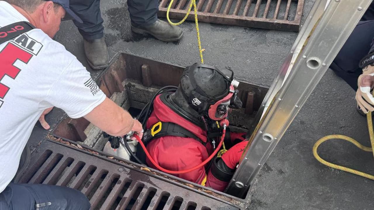 Entró a un drenaje en Publix y no volvió a salir: así terminó la búsqueda