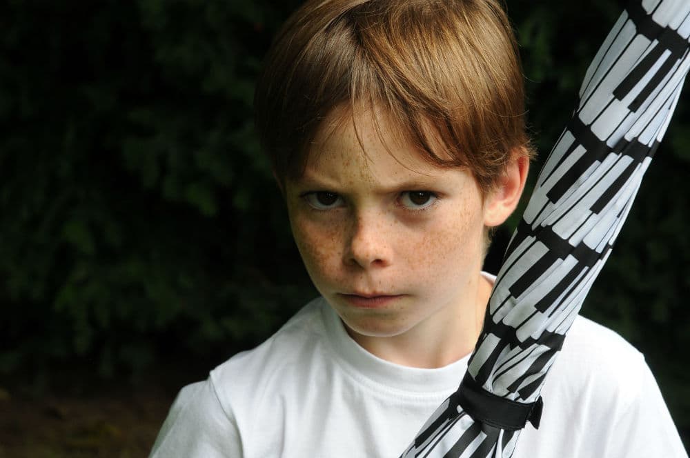 Helping  Parents and Children Deal with Aggression