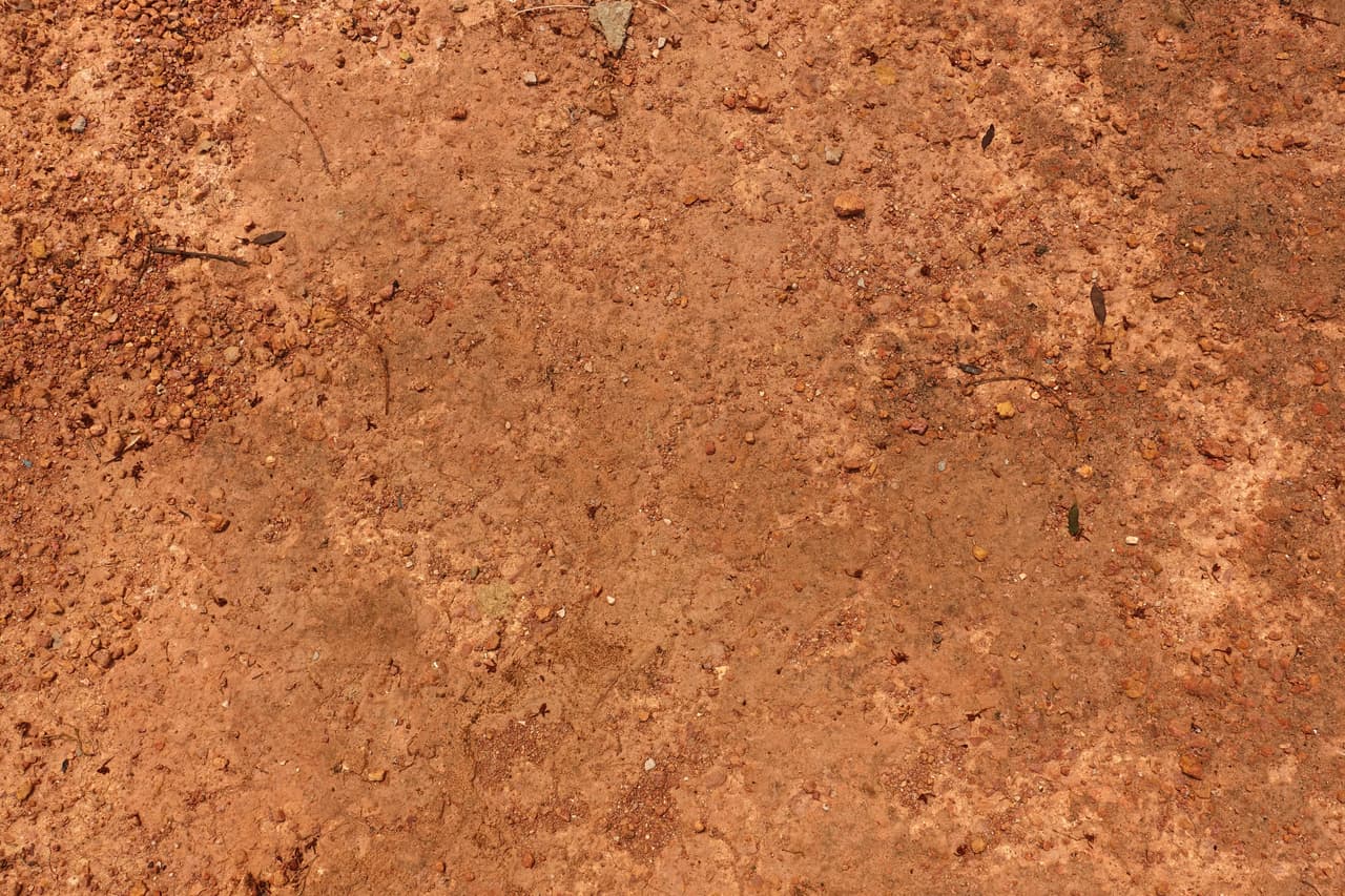 Signos de Tierra (Tauro, Virgo y Capricornio)