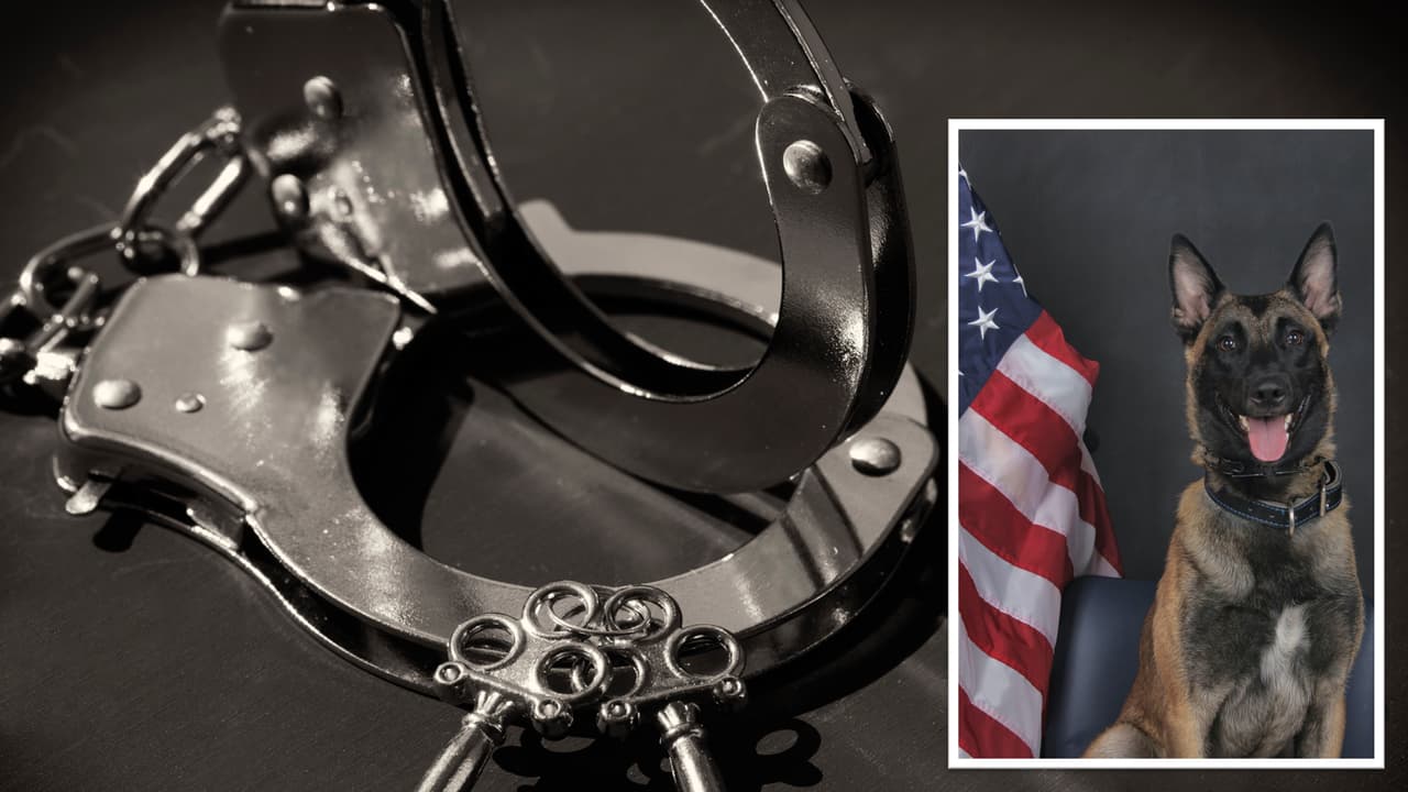 Un oficial canino de Gwinnett captura al sospechoso de tirotear a tres hispanos que no conoce