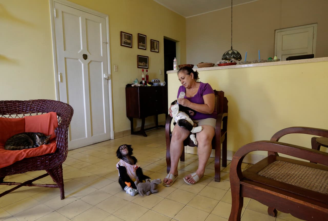 Marta Llanes feeds Anumá, aged almost 11 months. Her younger sister Ada patiently waits her turn. Nov 23 2016.