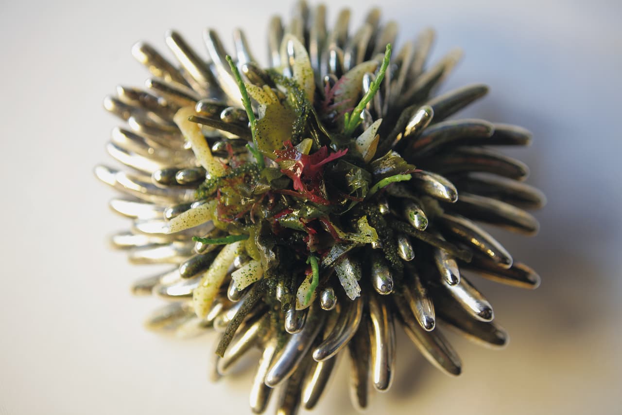 "Anemona" El somni, Celler de Can Roca, España