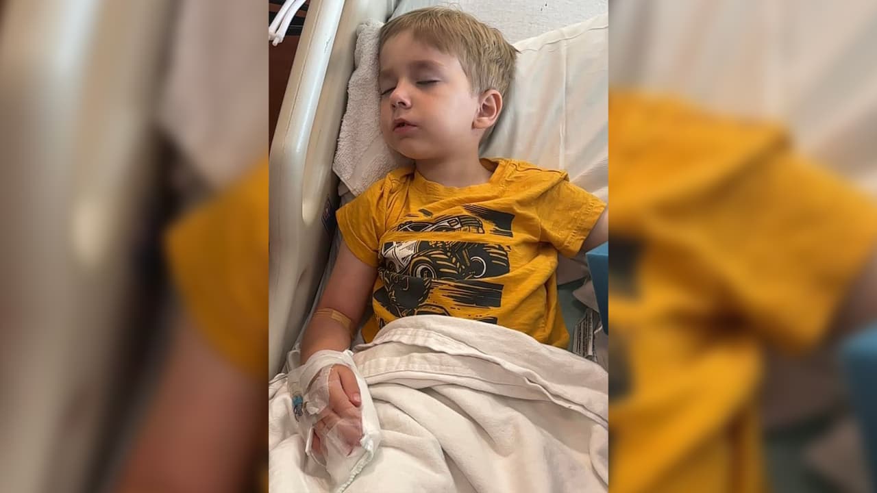 Daniel y su tío se dirigieron al hospital donde el niño fue atendido por el doctor Spencer Greene, quien además de ayudar al pequeño a sentirse bien, ofreció a la familia información sobre las víboras venenosas y los cuidados que se deben tener.