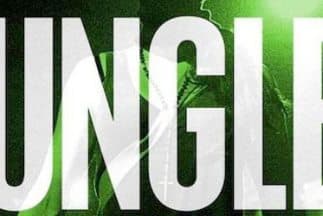 Video: Jay-Z Jungle Remix