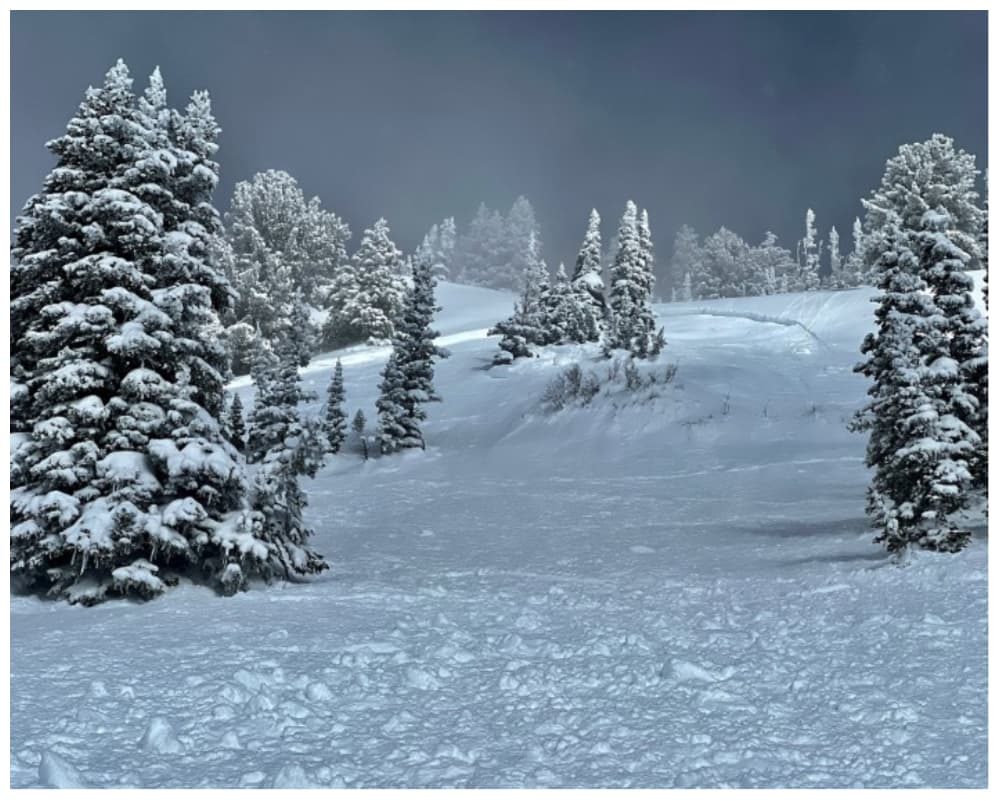 El esquiador que quedó atrapado fue empujado hacía los árboles.