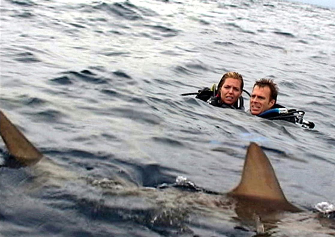 Aunque contaba con un bajo presupuesto la película fue todo un éxito en taquilla