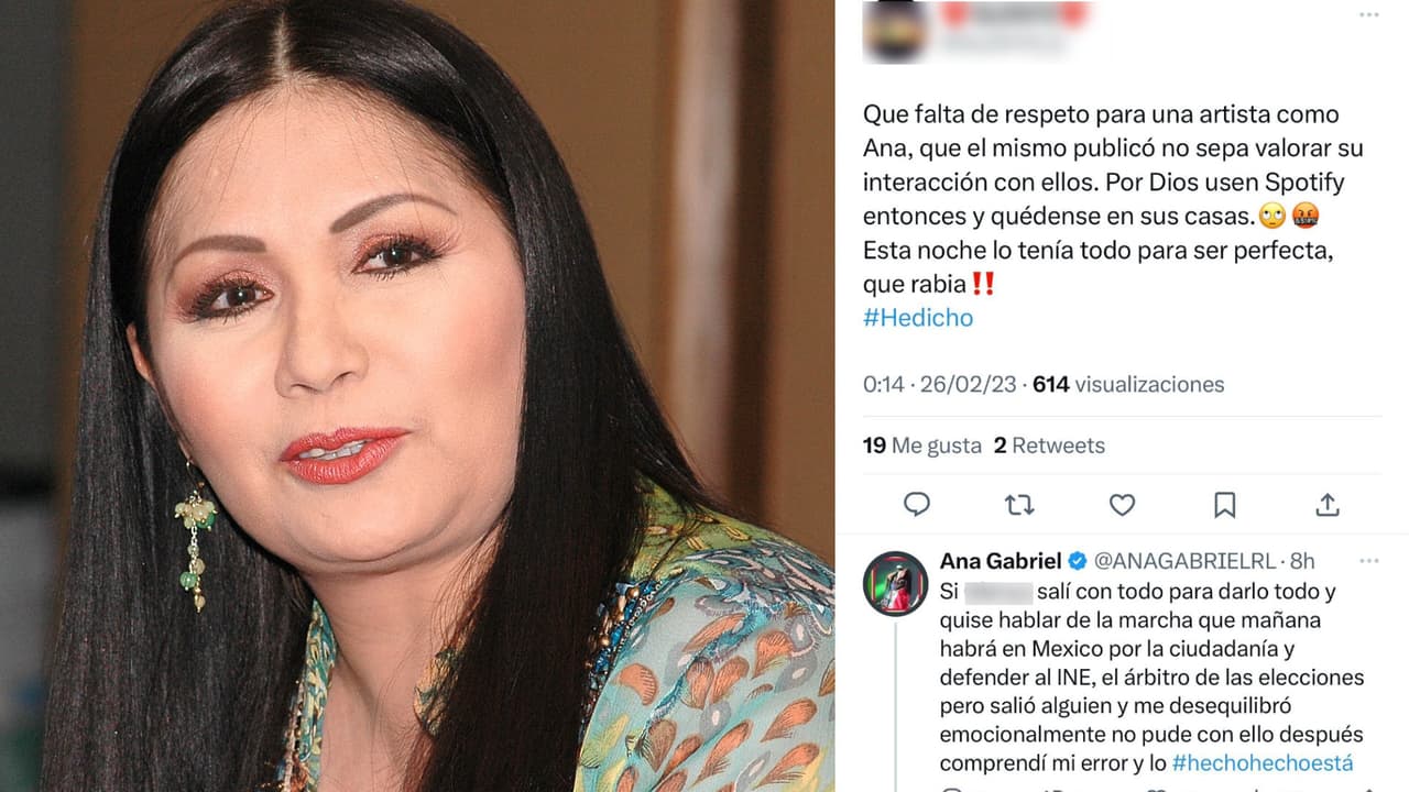 Ana Gabriel aseguró en otro de sus tuits que "quiso hablar de la marcha" ciudadana que este domingo se llevó a cabo en México en contra de la reforma electoral que se pretende instaurar en ese país.