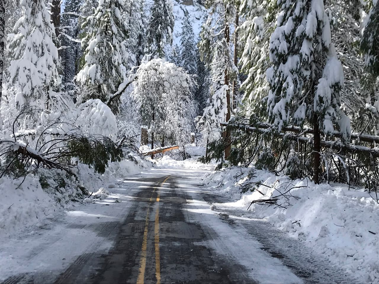 El Servicio Nacional de Parques también compartió caminos nevados en el Parque Nacional Yosemite, California. Hasta 50 viviendas cerca de Half Dome Village fueron dañadas por árboles derribados durante una tormenta de nieve a principios de esta semana.