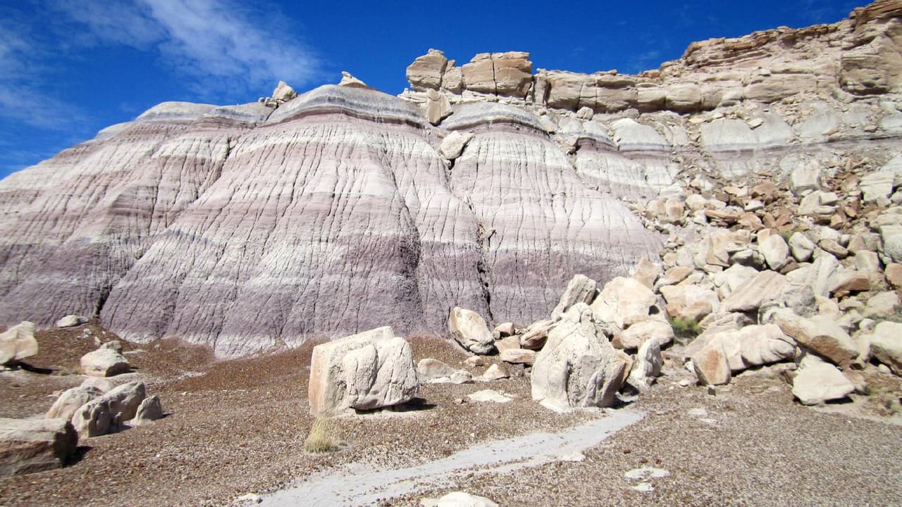 No se permite acampar en el lugar. 
<b>El costo de entrada es de $15 por persona y $25 por vehículo</b>. Los interesados en visitar el lugar pueden adquirir sus entradas por adelantado en línea o directamente en la entrada del parque. 
<a href="https://www.nps.gov/pefo/index.htm" target="_blank">Para más información visita la página oficial. </a>