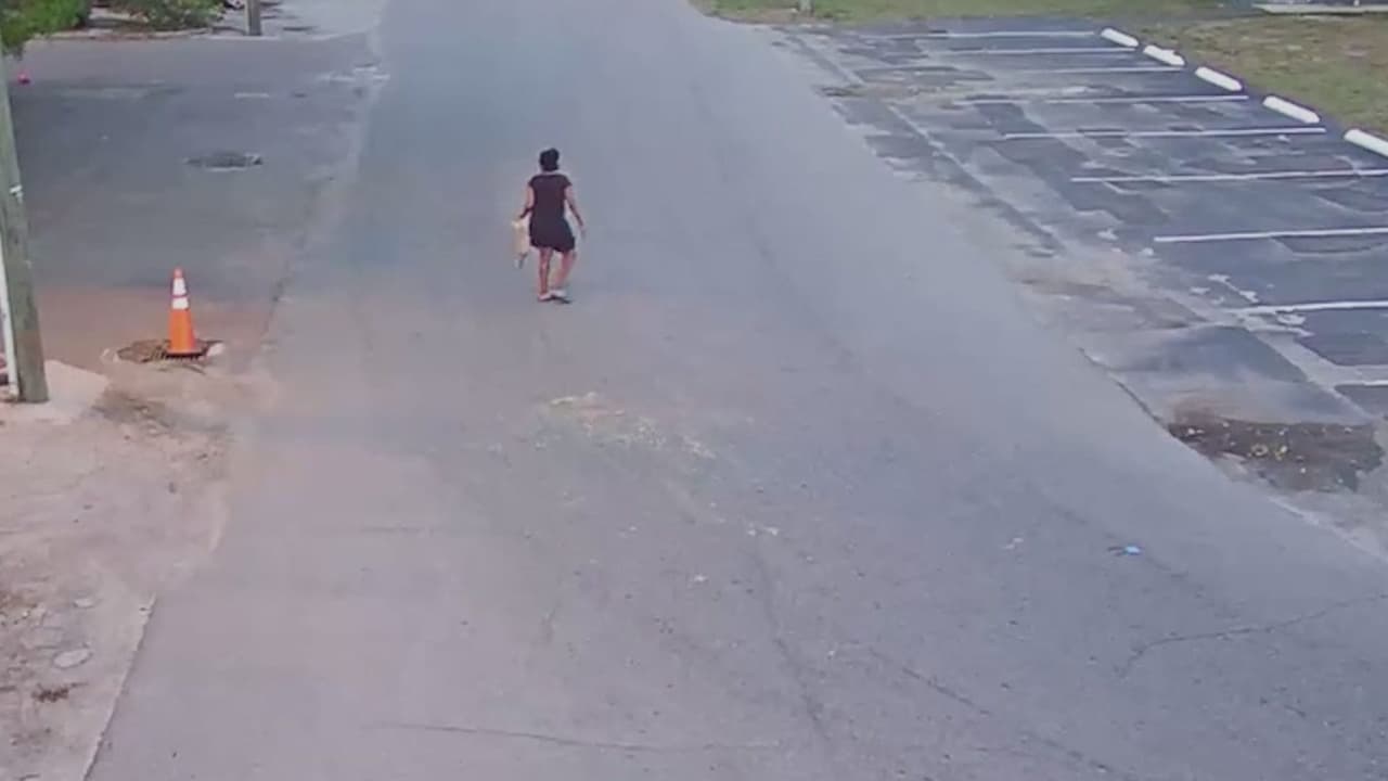 Mujer es detenida tras ser captada azotando a un perro contra el pavimento en Hillsborough