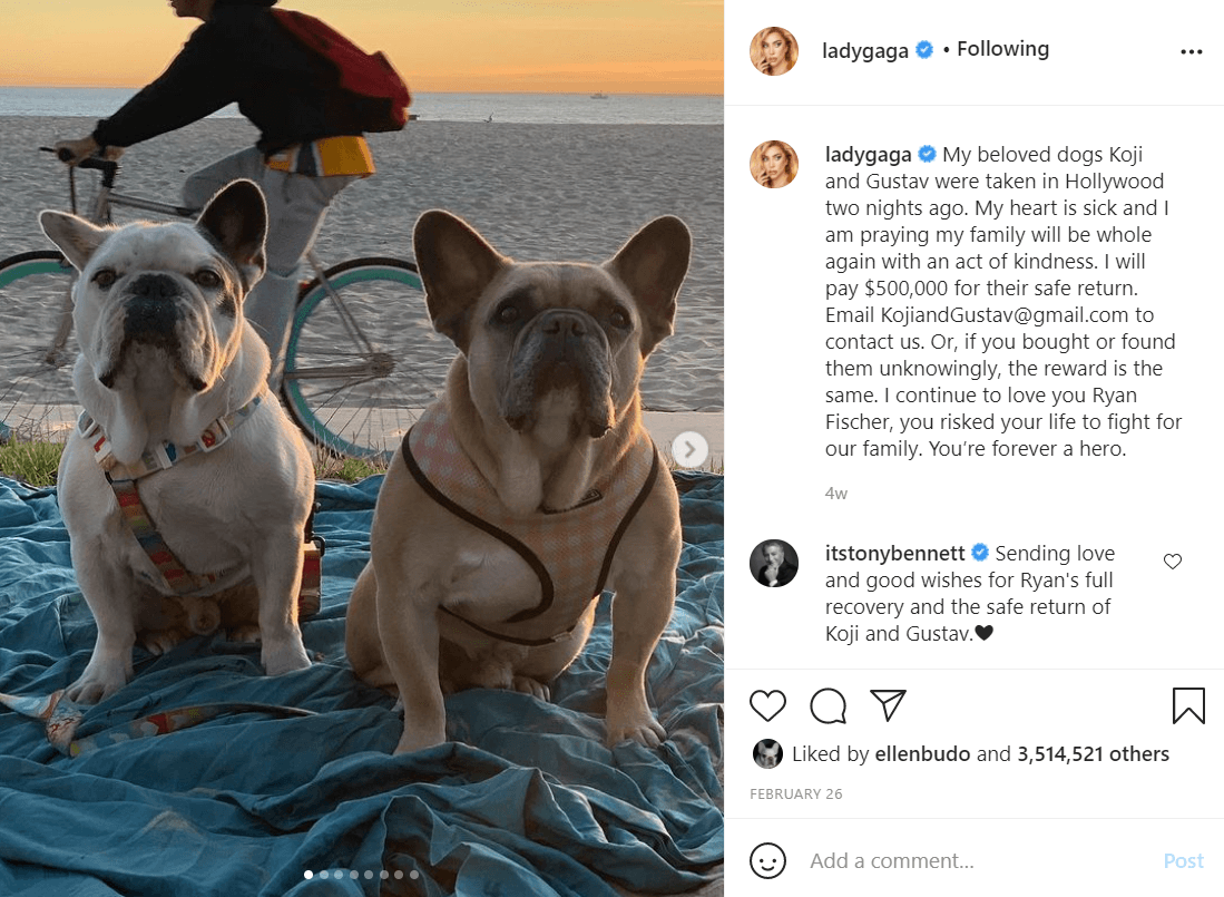 El 26 de febrero, dos días después del secuestro de Koji y Gustav, ofreció recompensa para que le regresaran a sus queridas mascotas y dedicó unas líneas para el paseador de perros: "Te sigo amando Ryan Fischer, 
<b><a href="https://www.univision.com/famosos/lady-gaga-reza-regresen-perros-recompensa">arriesgaste tu vida para luchar por nuestra familia</a></b>
<a href="https://www.univision.com/famosos/lady-gaga-reza-regresen-perros-recompensa">.</a> Siempre serás un héroe".
<br>
