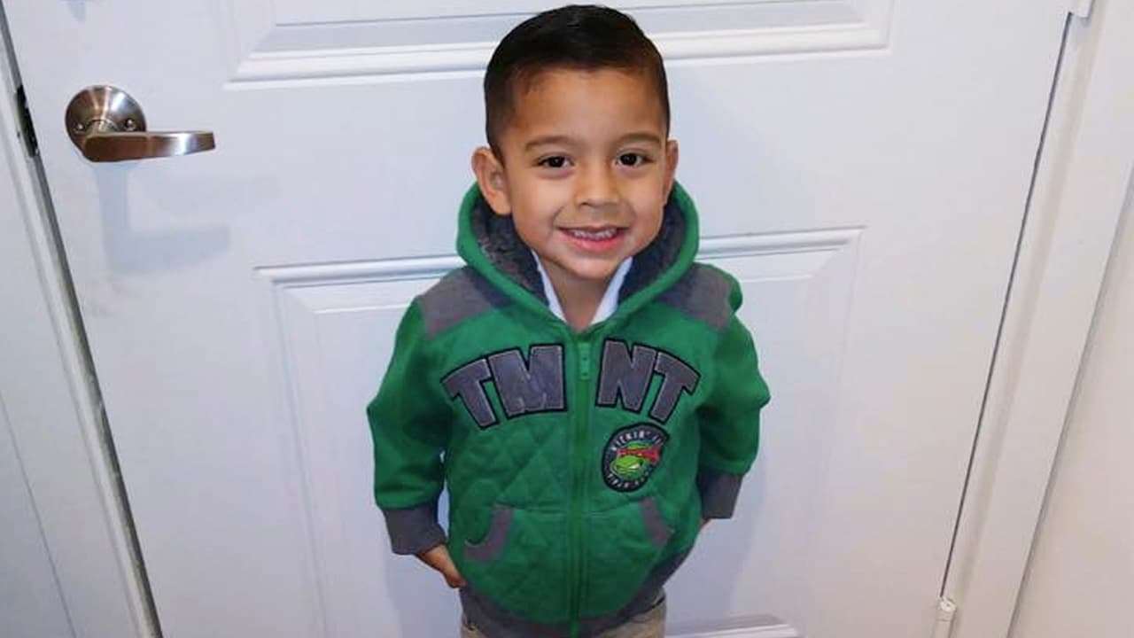 Al pequeño le encantaban los superhéroes y había pedido que los pastelillos de su cumpleaños tuvieran decoraciones del hombre araña.