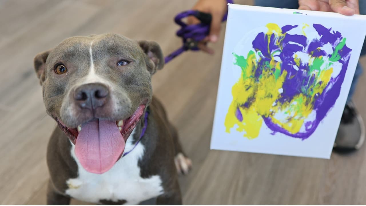 Este fue el resultado del Echo con su pieza en colores morados, amarillos y verdes. Tal vez, preguntas ¿Qué tiene qué ver el maní sobre el canva? ¿Cómo Echo logró esta pieza?