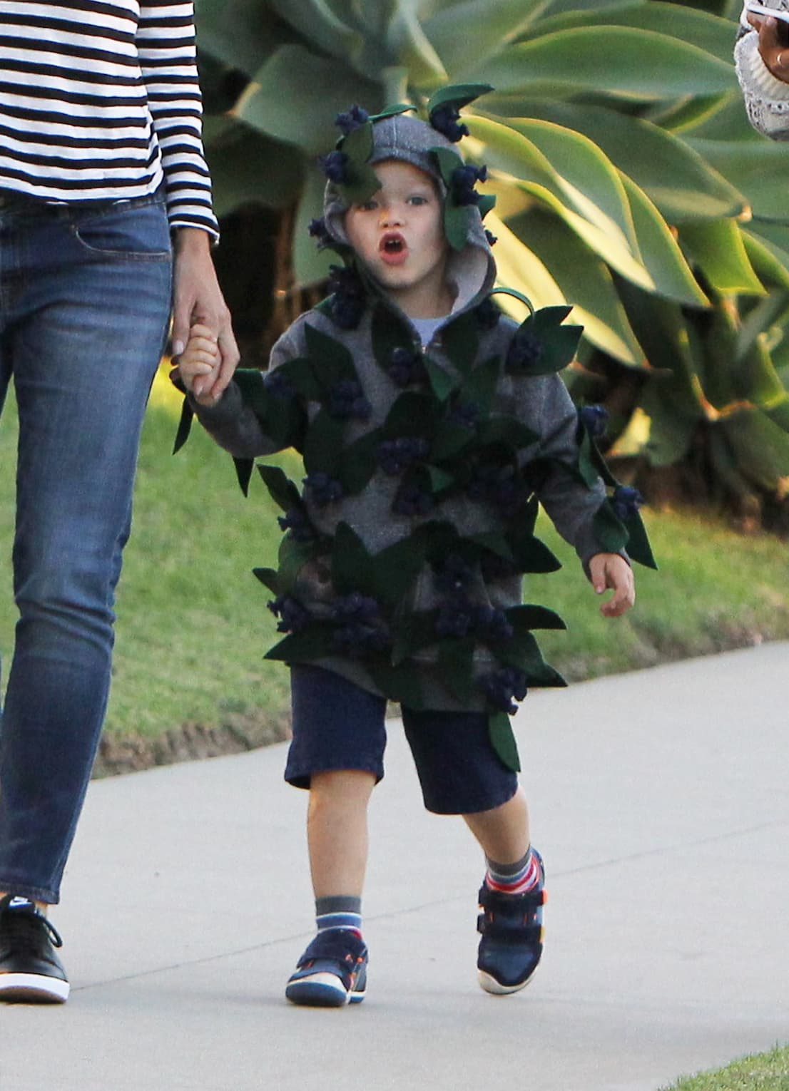 Y Samuel también era un ave.