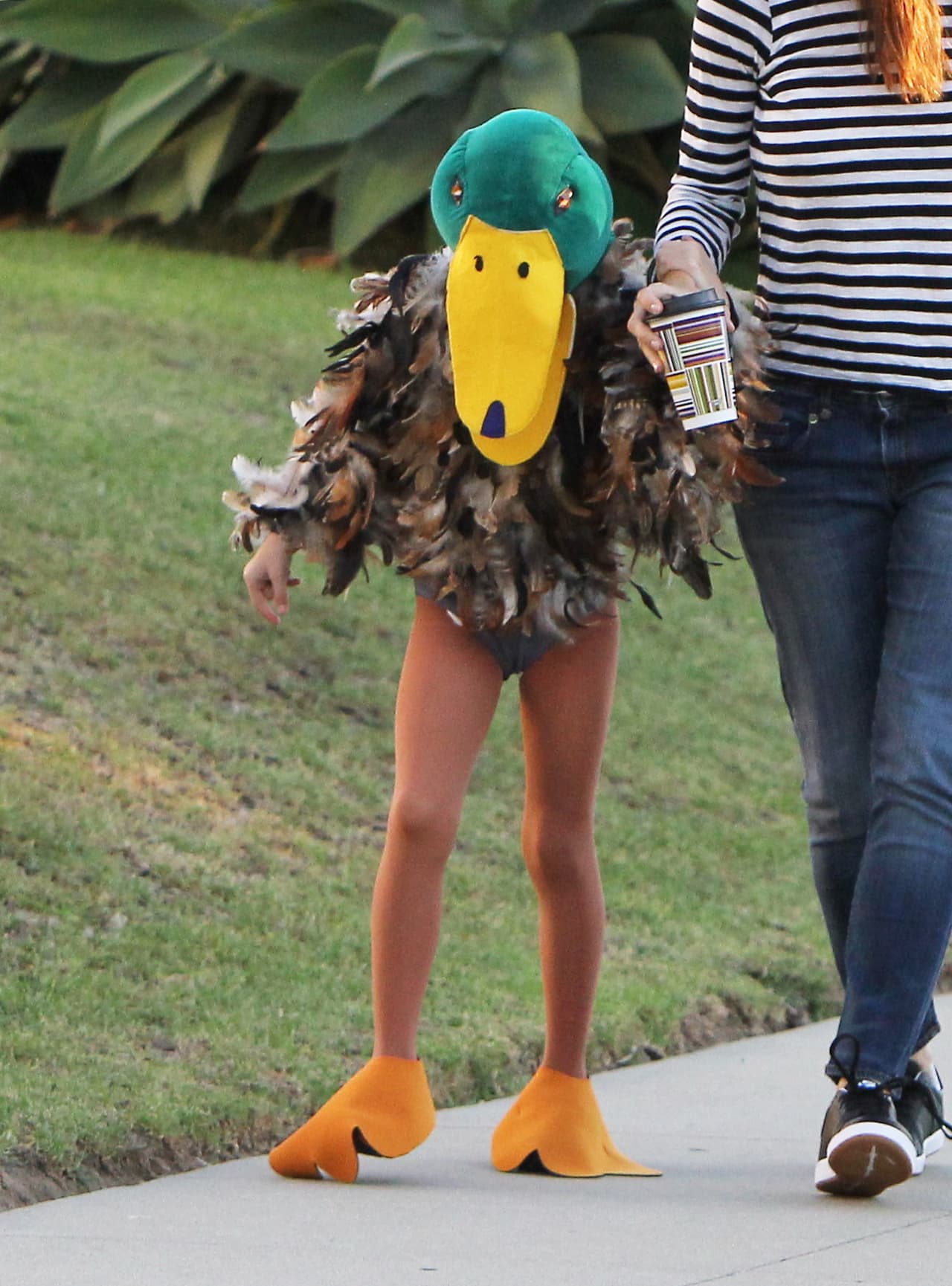 Seraphina era un... ¿pajarraco?