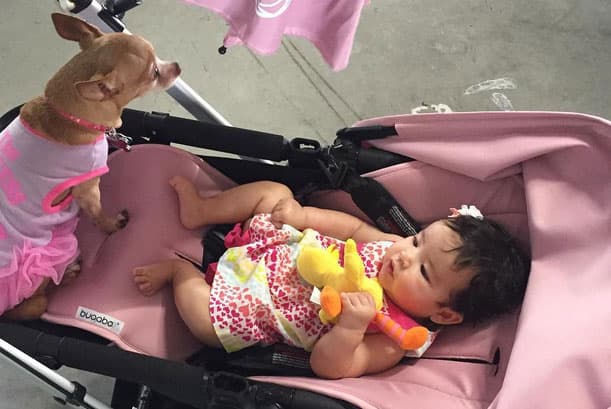 Por lo visto Giulietta es una princesa muy disciplinada y tranquila, pues casi no le da lata a su mamá.