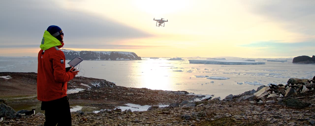 Fue así como se enfilaron en la misión de realizar una expedición para confirmar las sospechas sobre la colonia. Para ello, utilizaron varios drones para guiar la búsqueda y obtener fotografías aéreas de las aves.
<br>