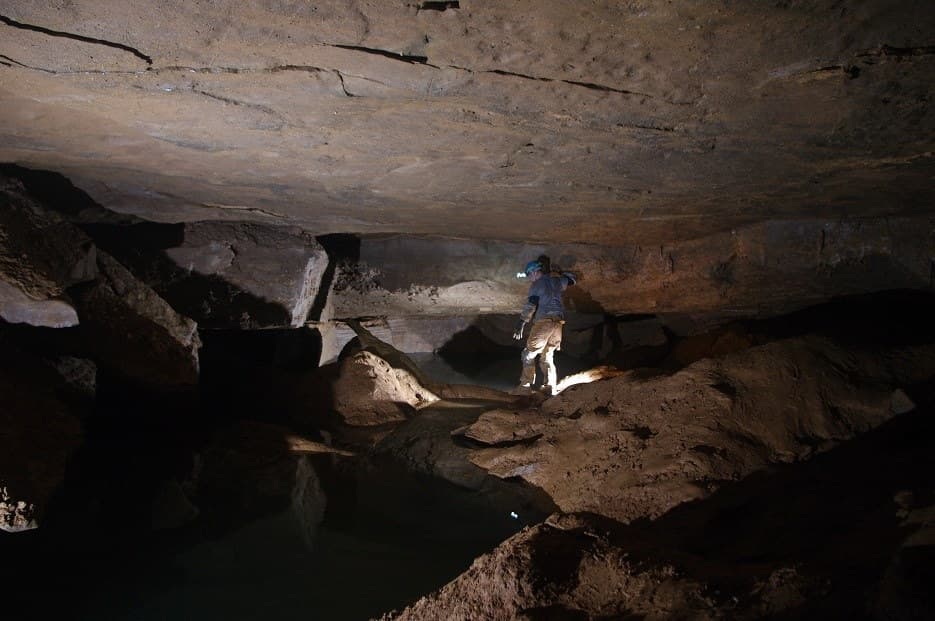 <b>Pettijohn's Cave (Condado de Walker):</b> La caverna de Pettyjohn se encuentra en el lado este de Pigeon Mountain. Contiene 6.5 millas de senderos subterráneos dentro de Pigeon Mountain y se ha medido en una longitud de 31,490 pies de largo.