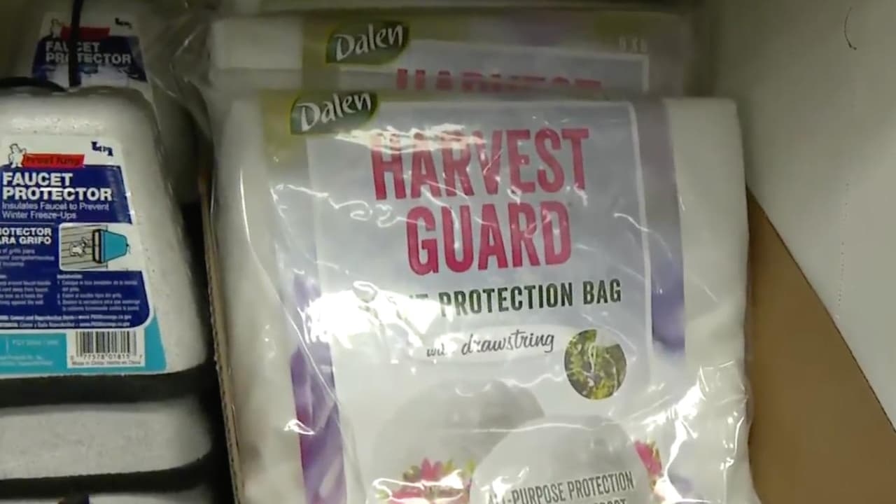 Ante el frío en Houston, expertos explican cómo proteger tuberías y llaves exteriores