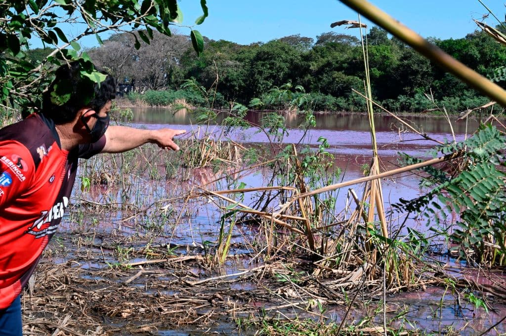 Los vecinos atribuyen directamente la contaminación a grandes descargas de efluentes provenientes tanto de industrias cercanas como del barrio Piquete-Cué de la localidad de Limpio.