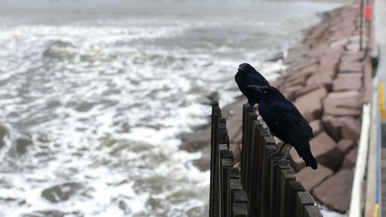 Las autoridades dicen estar preparados para atender todos los llamados de la comunidad y realizar rescates, en caso de ser necesario.