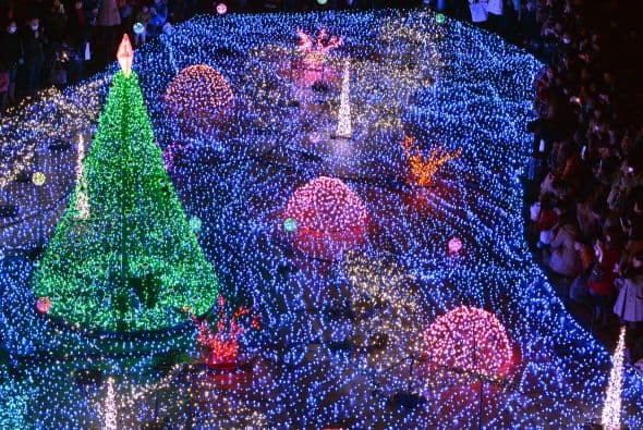 En Starlight Garden fueron más de 180 mil luces en colores azules y blancos que resplandecen a lo grande.