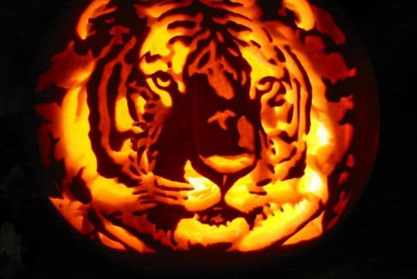 Ideas para Halloween