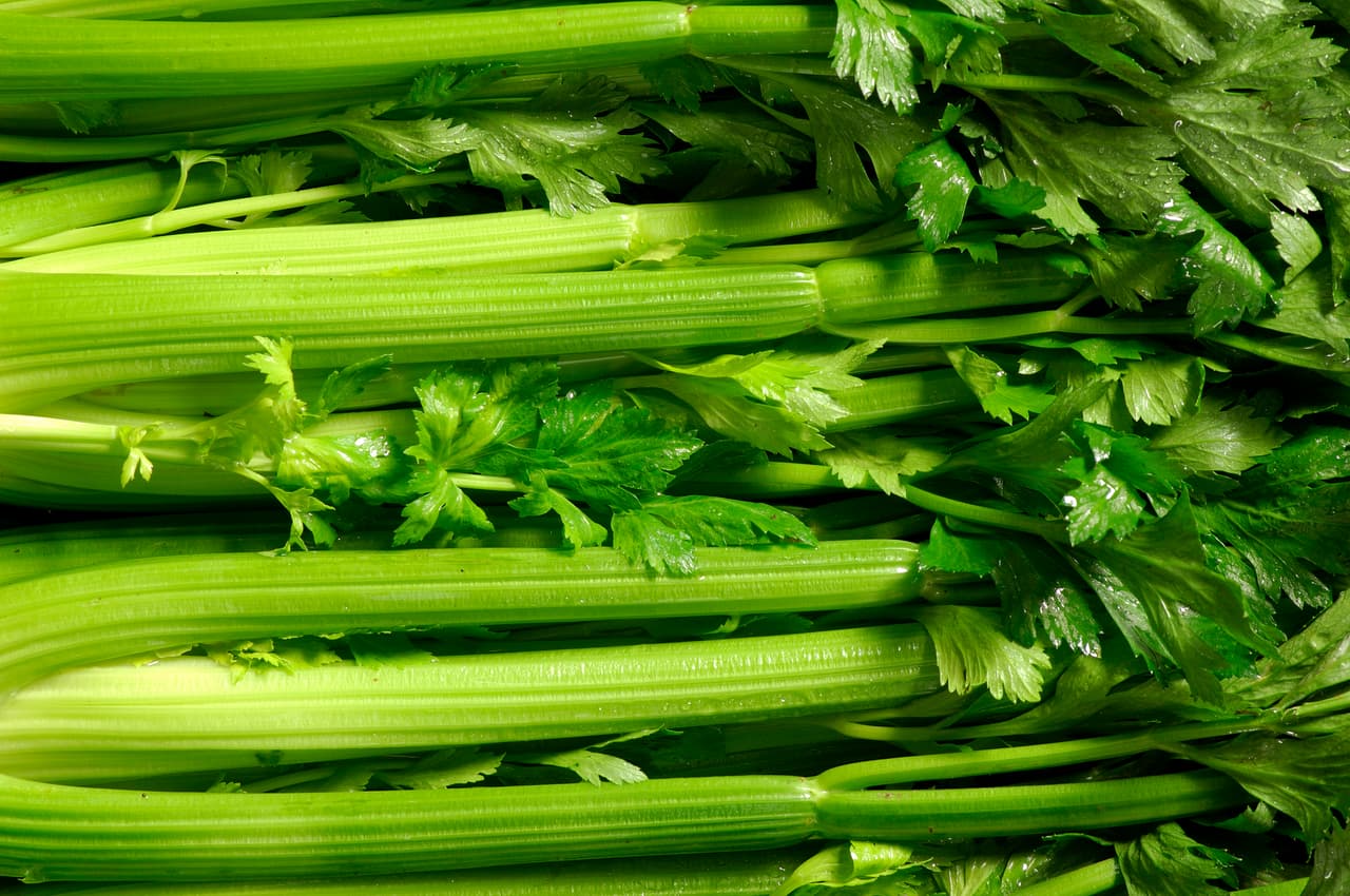 <b>Puesto 11. Celery.</b> 
<br>
<br>El estudio encontró un total de 94 pesticidas diferentes en las verduras de hoja verde, incluidos los neónicos, un tipo de insecticida que además es dañino para las abejas y otros insectos polinizadores.
<br>