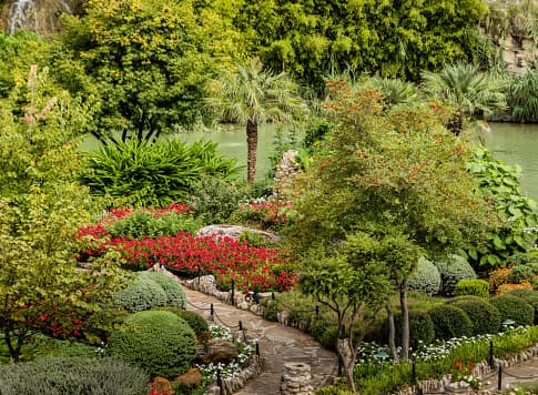 El jardín de té japonés de San Antonio es también conocido como jardines hundidos. Es un lugar tranquilo que todo visitante y residente debería experimentar porque es uno de los sitios más bellos de la ciudad del Álamo y la entrada al jardín es gratuita.