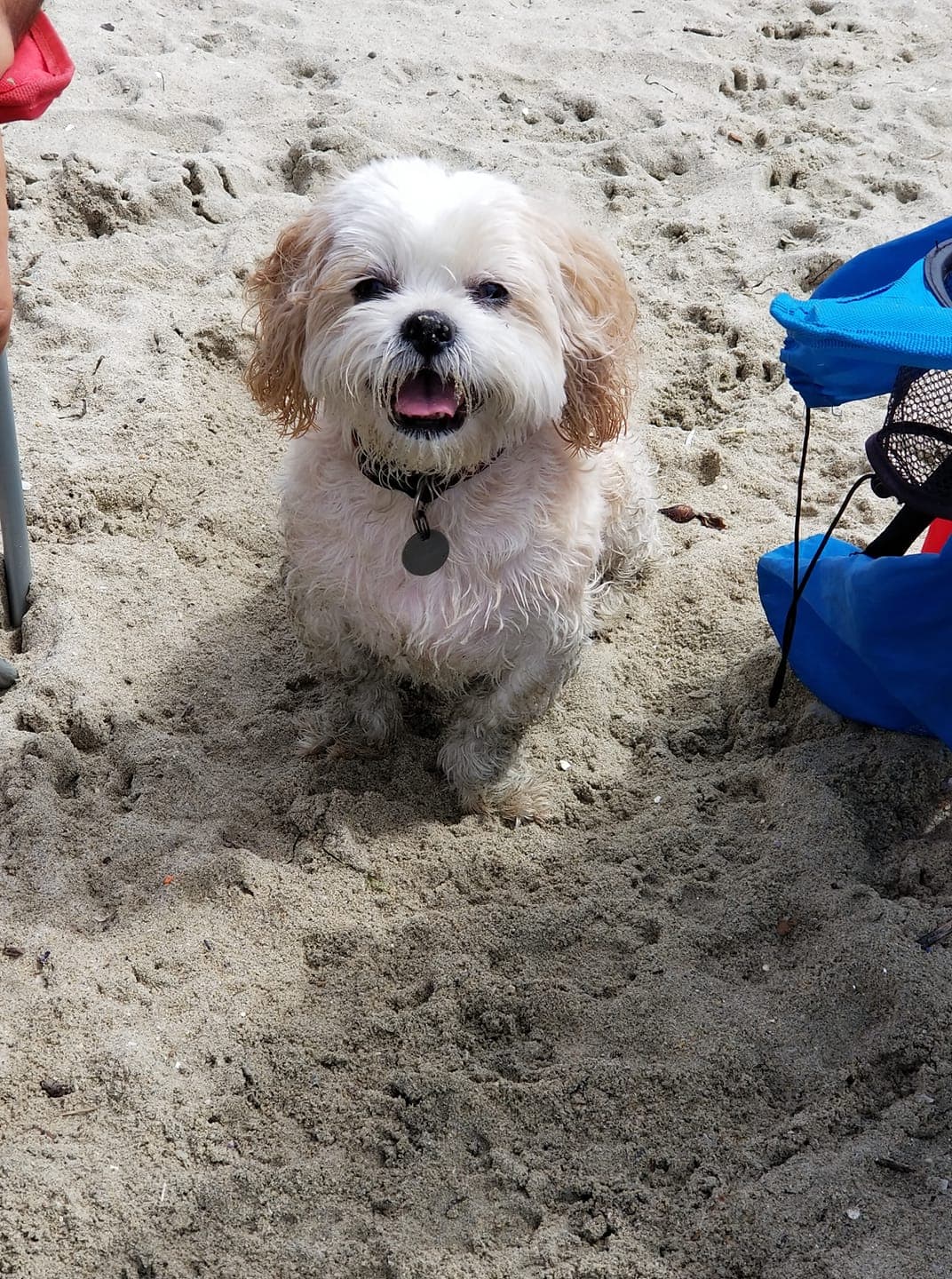 "Fluffy es parte importante de nuestra familia, lo amamos" - Karla Janeth Galindo