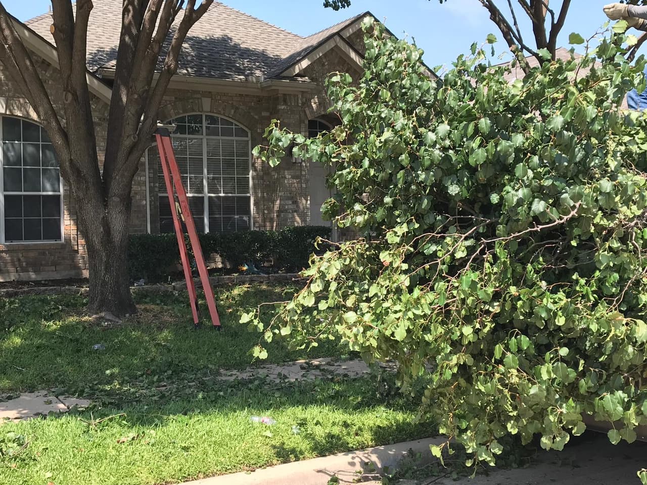 Continúan los trabajos de limpieza en Allen, Texas.