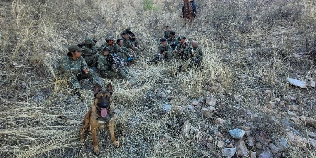 El grupo fue detectado inicialmente por tecnología pero los caninos ayudaron a encontrarlos.